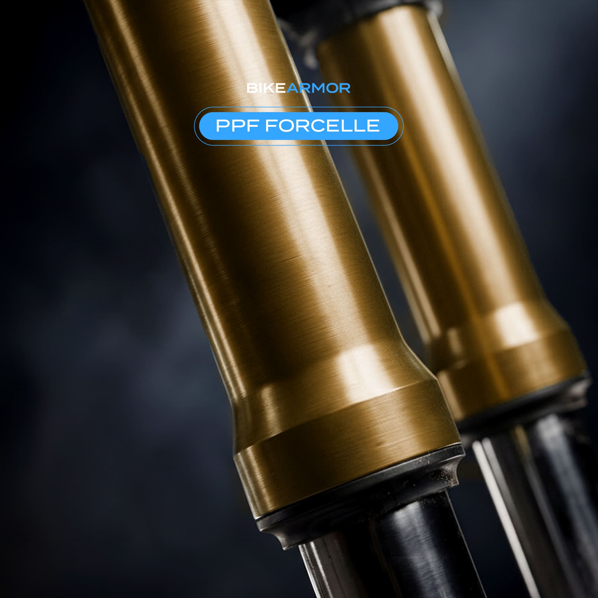 PPF UNIVERSALE FORCELLE